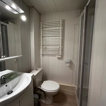 Apartment T2 Au Centre De Avec Wifi Et Parking Gratuit - Fr-1-541-163 *