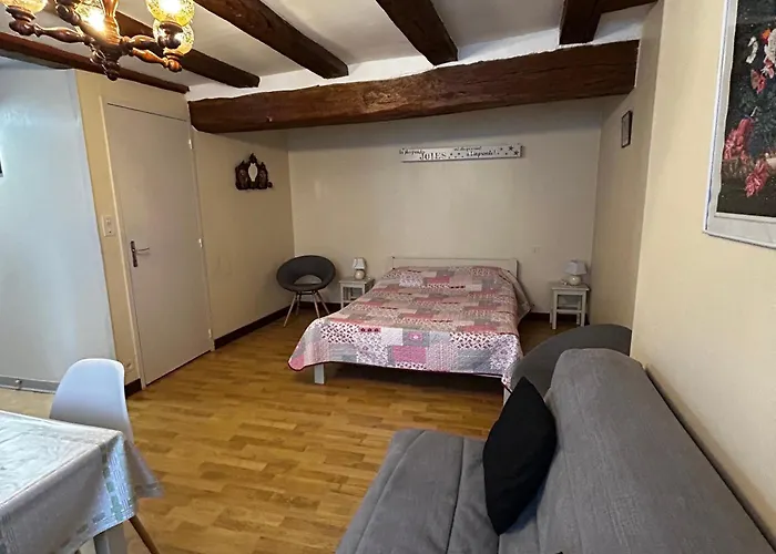 T2 Au Centre De Avec Wifi Et Parking Gratuit - Fr-1-541-163 La Roche-Posay