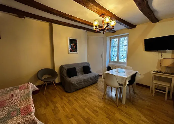 Apartamento T2 Au Centre De Avec Wifi Et Parking Gratuit - Fr-1-541-163 La Roche-Posay