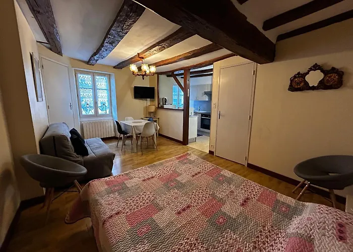 T2 Au Centre De Avec Wifi Et Parking Gratuit - Fr-1-541-163 * La Roche-Posay