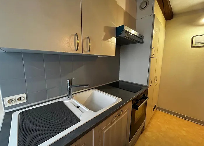 Apartamento T2 Au Centre De Avec Wifi Et Parking Gratuit - Fr-1-541-163