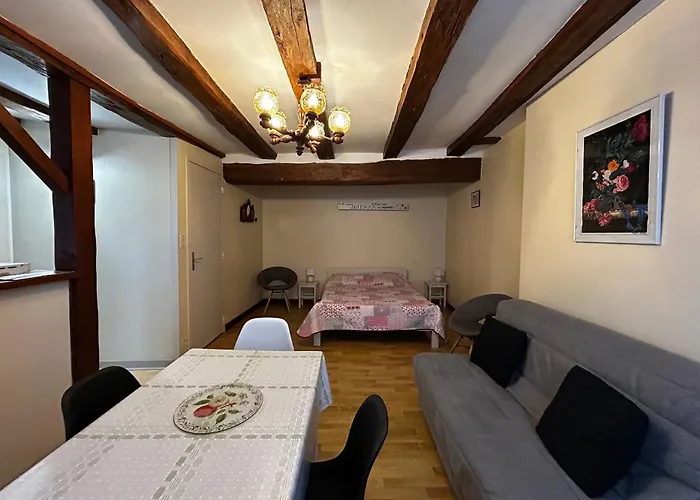 Apartamento T2 Au Centre De Avec Wifi Et Parking Gratuit - Fr-1-541-163 *