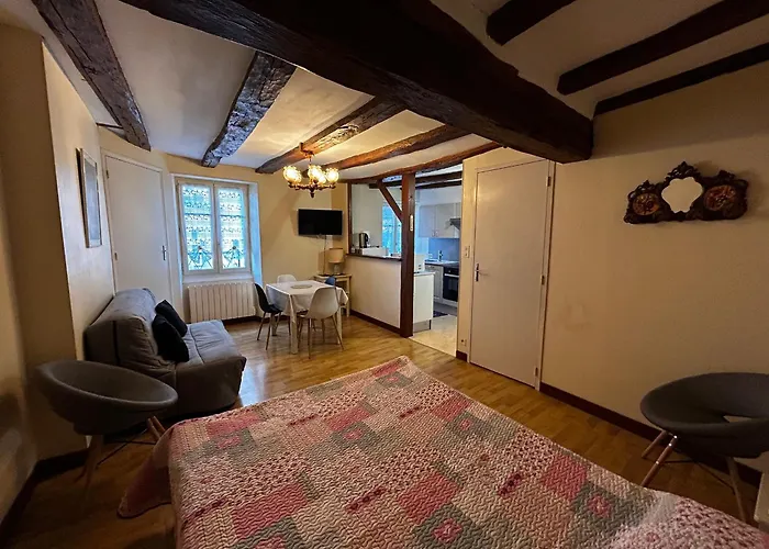 T2 Au Centre De Avec Wifi Et Parking Gratuit - Fr-1-541-163 Apartamento *