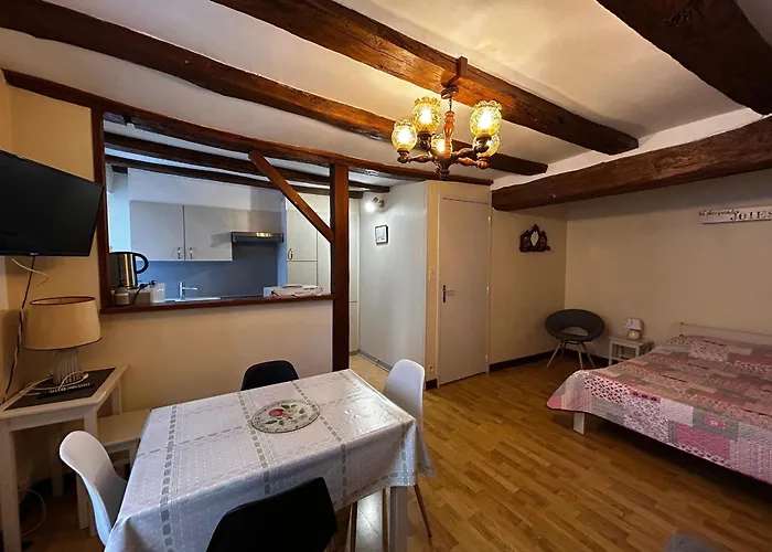 Apartamento T2 Au Centre De Avec Wifi Et Parking Gratuit - Fr-1-541-163 *