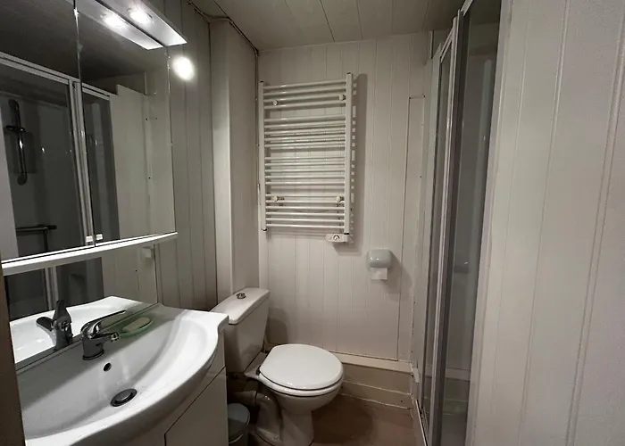 T2 Au Centre De Avec Wifi Et Parking Gratuit - Fr-1-541-163 La Roche-Posay